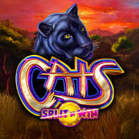Cats Split 'N' Win in New Games