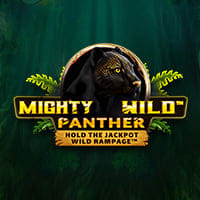 Mighty Wild Panther in New Games