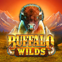 Buffalo Wilds in Exclusive Slots